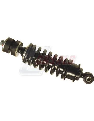 CASALS99502