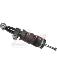 CASALS99508