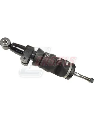 CASALS99508