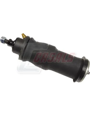 CASALS99564
