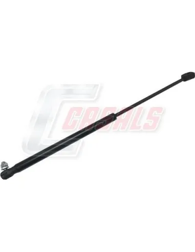 CASALSA1101