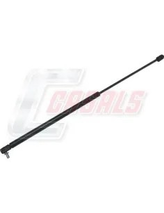 CASALSA1103