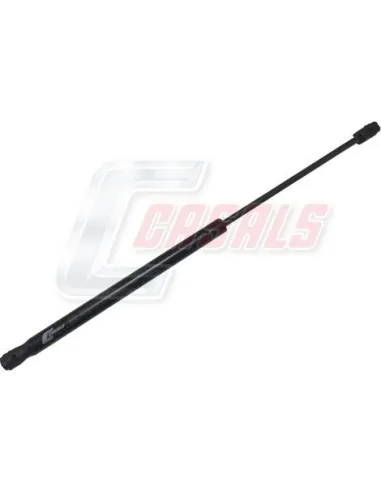 CASALSA1107