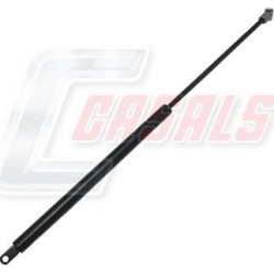 CASALSA1113