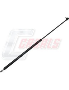 CASALSA1136