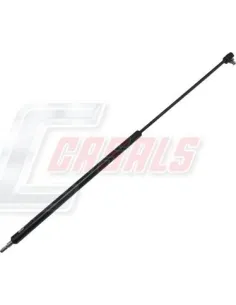 CASALSA1137