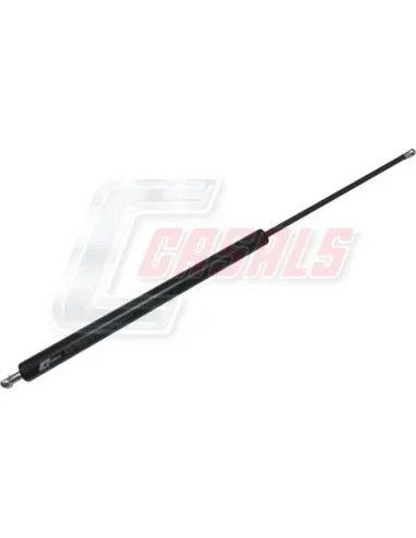 CASALSA1153