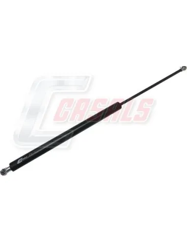 CASALSA1154