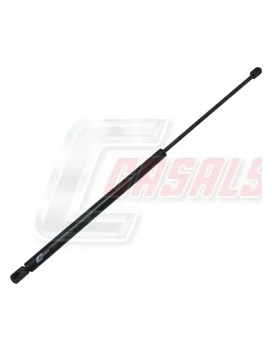 CASALSA1173