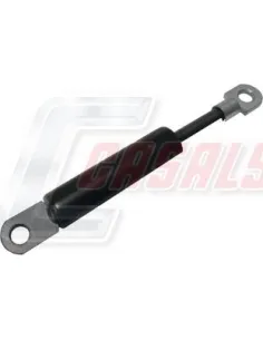 CASALSA1174