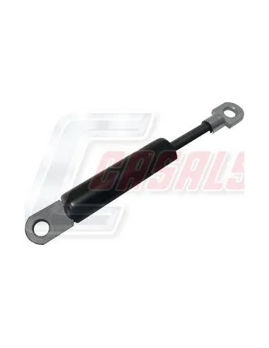 CASALSA1174