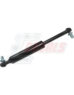 CASALSA1185