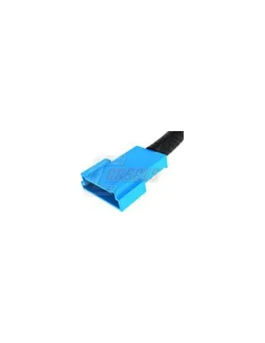 CASALSA5032