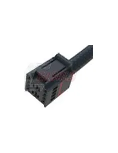 CASALSA5037