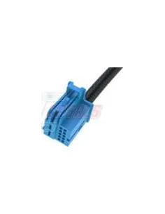 CASALSA5081