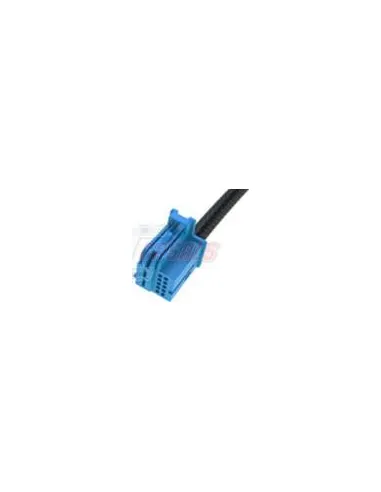 CASALSA5081