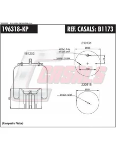 Sus.Neumatica Schmitz