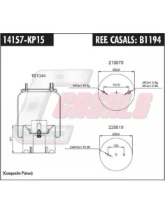 CASALSB1194