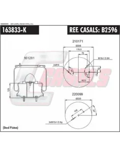 Susp. Neumatica PistoN MetaLico
