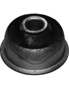 00543